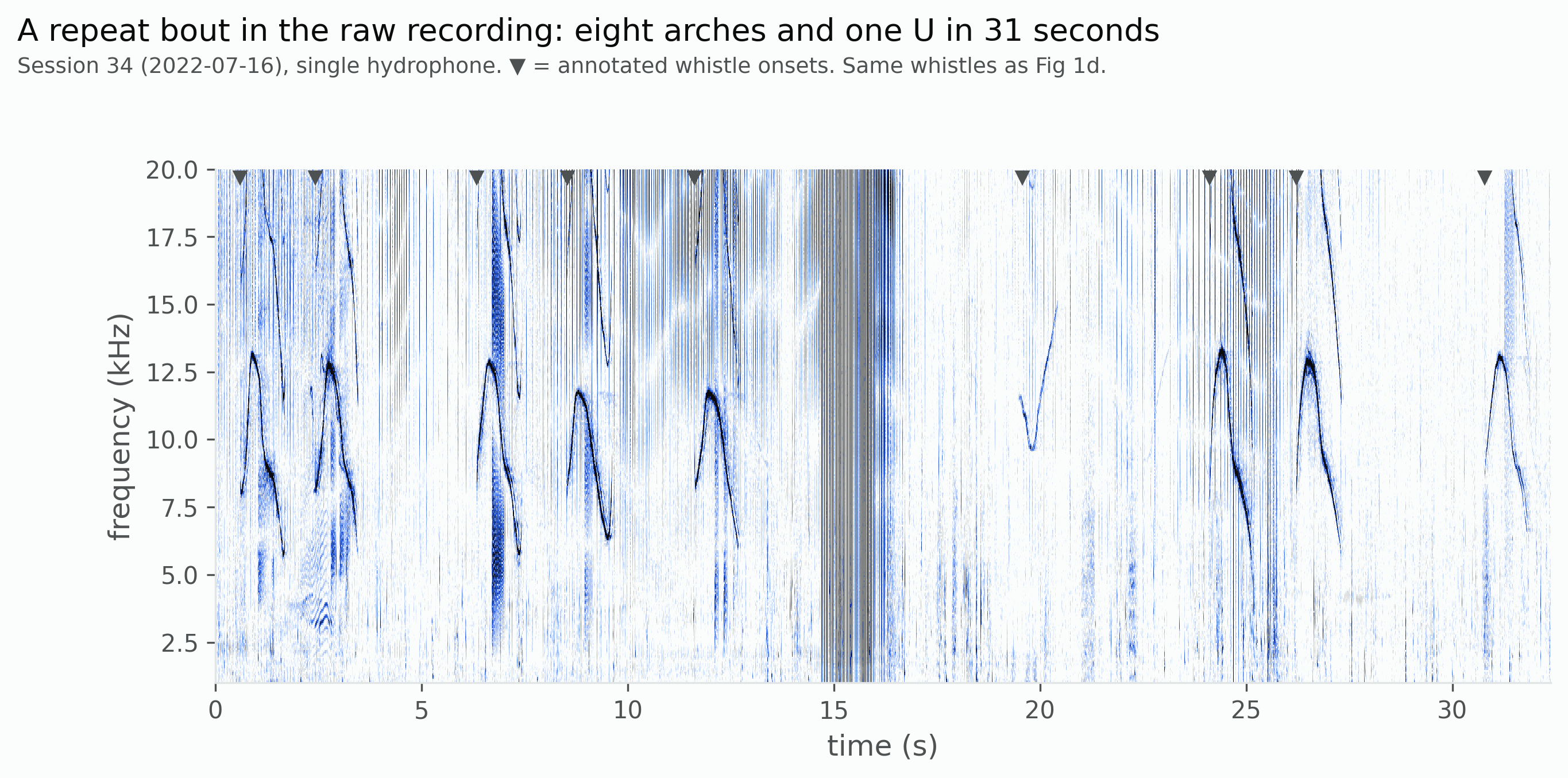 Spectrogram of a repeat bout showing the same whistle contour repeated multiple times